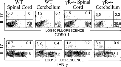 Figure 6.