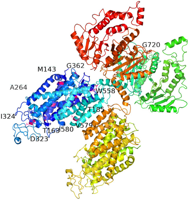 Figure 2