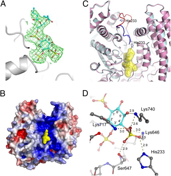 Fig. 4.