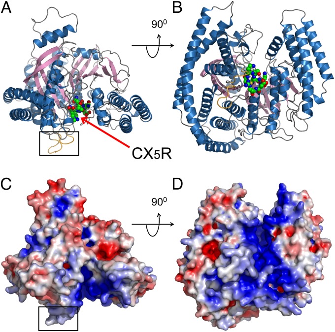 Fig. 3.