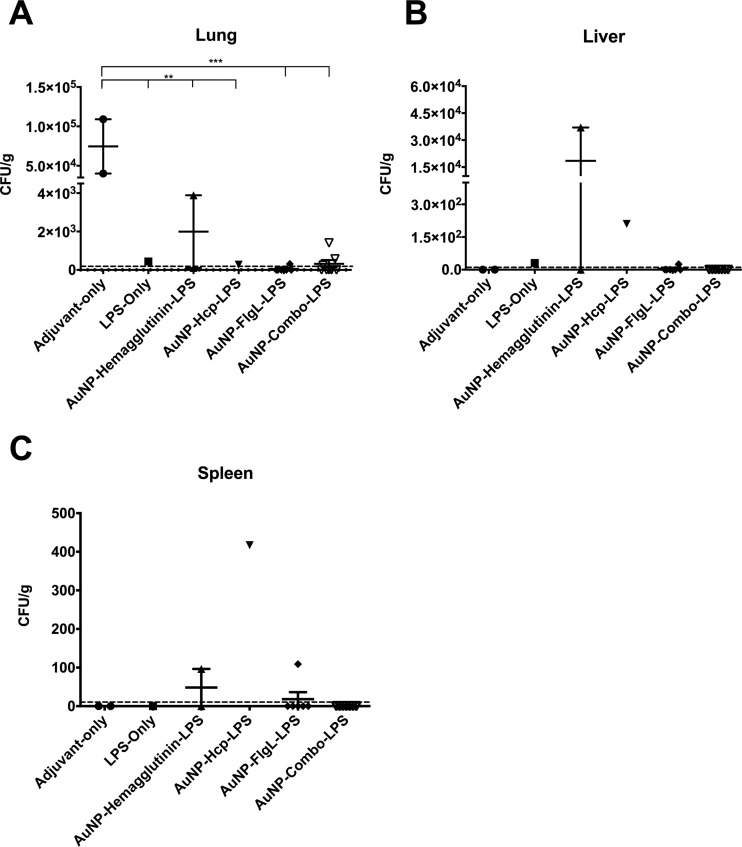 FIG 6