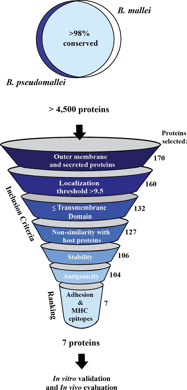 FIG 1