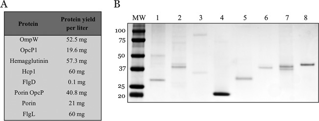 FIG 2