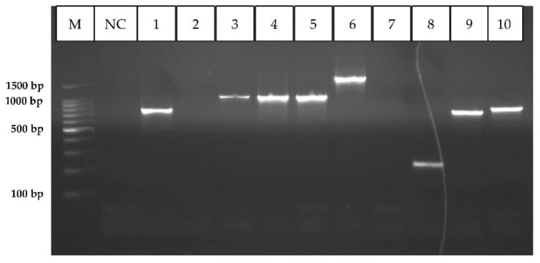 Figure 6