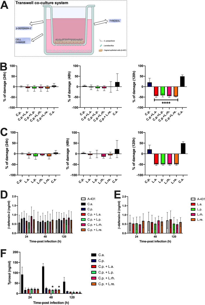 FIG 3