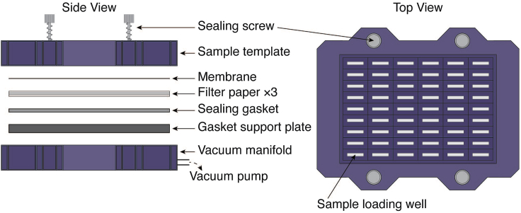 Figure 1