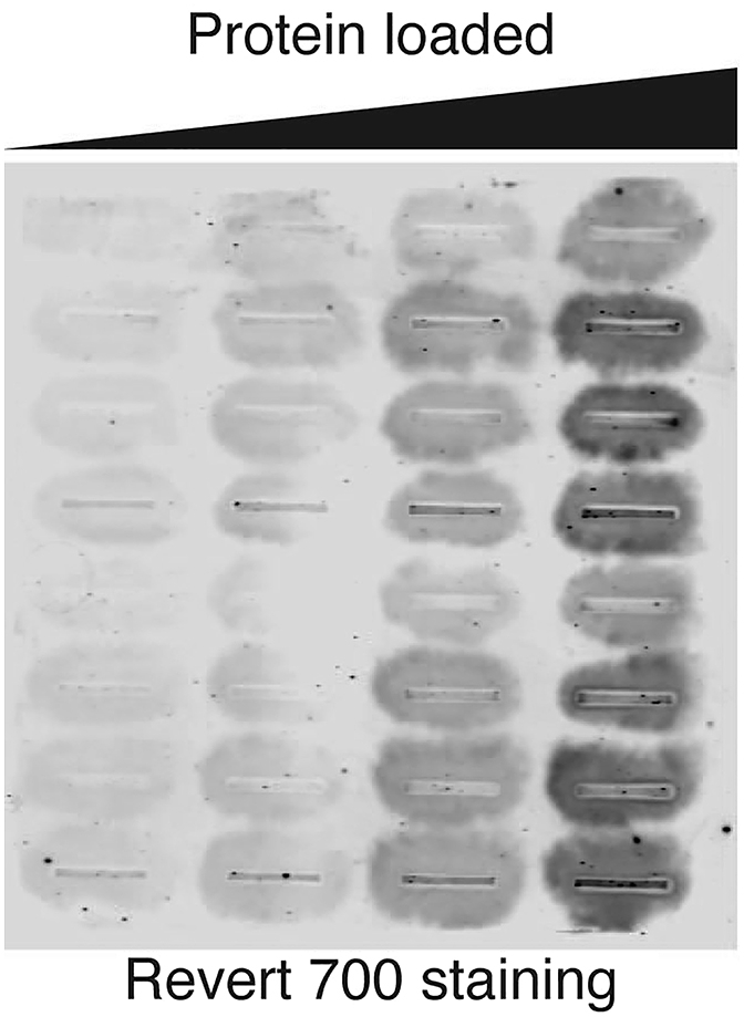 Figure 5