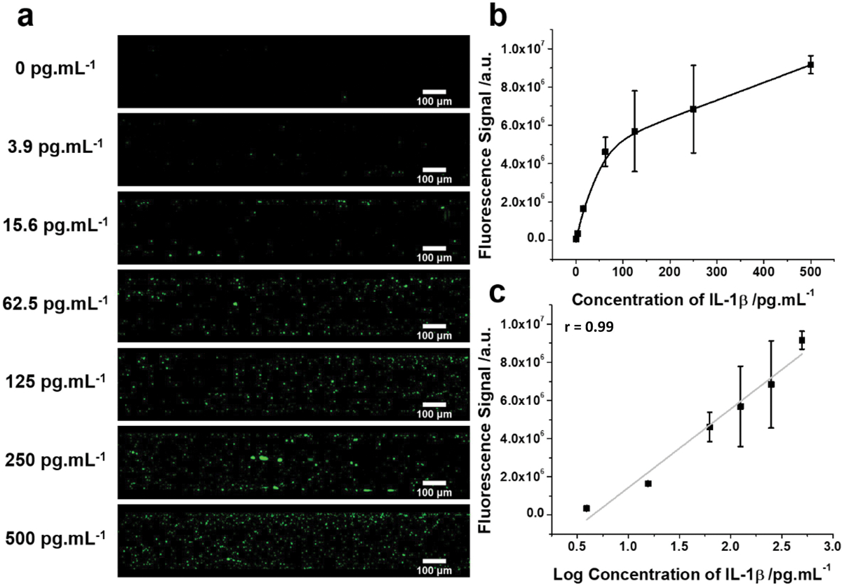 Fig. 7.