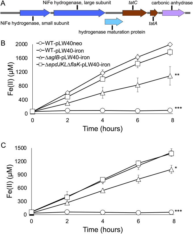 FIG 6