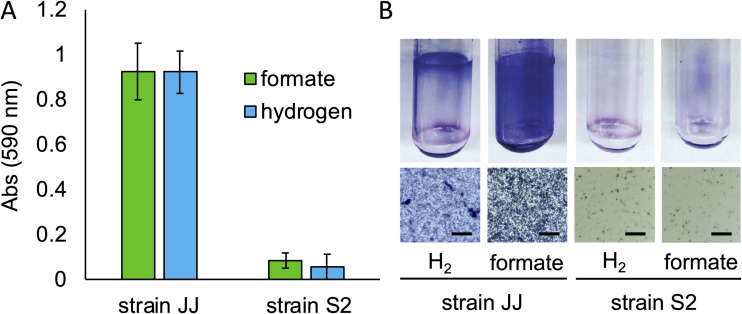 FIG 1