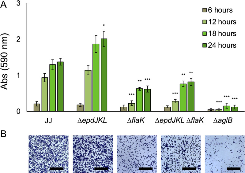 FIG 3