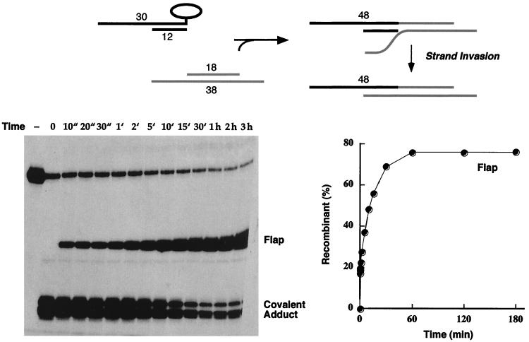 FIG. 6