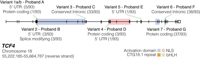 Fig 5