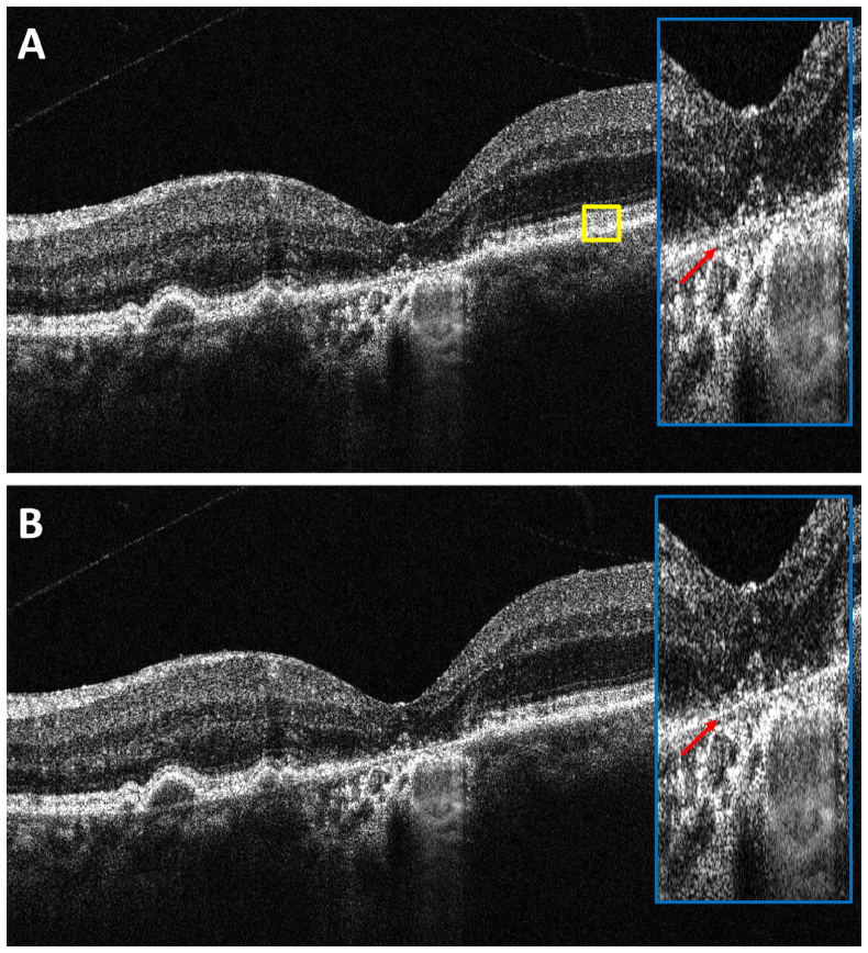 Fig. 7