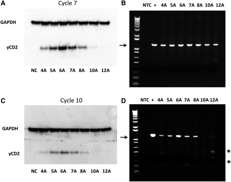 Figure 4.