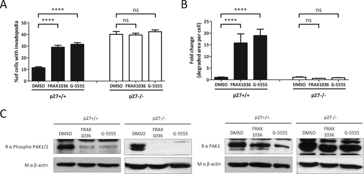 Figure 6—figure supplement 1.