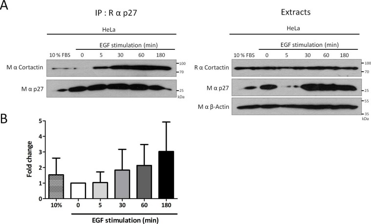 Figure 2—figure supplement 2.