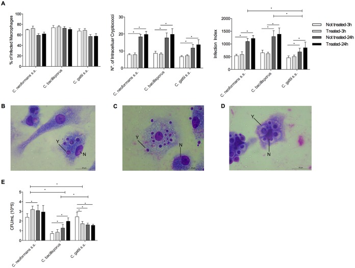 FIG 3