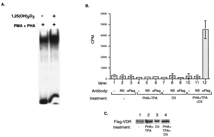 FIG. 7