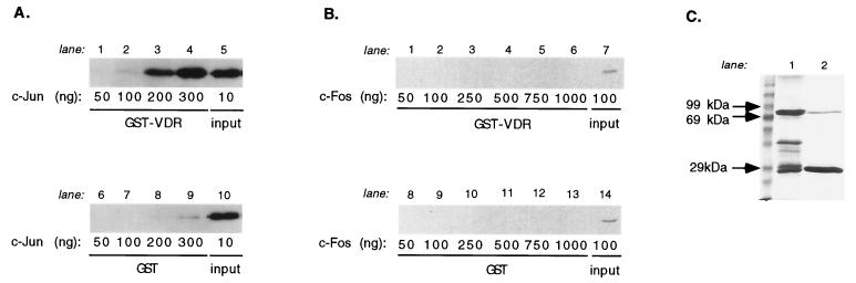 FIG. 6