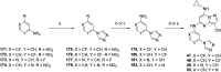 Scheme 5