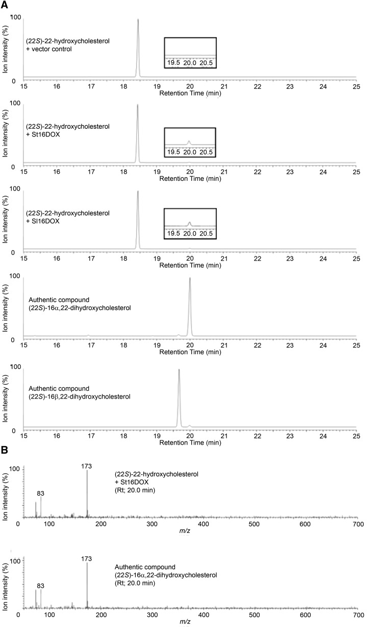 Figure 4.