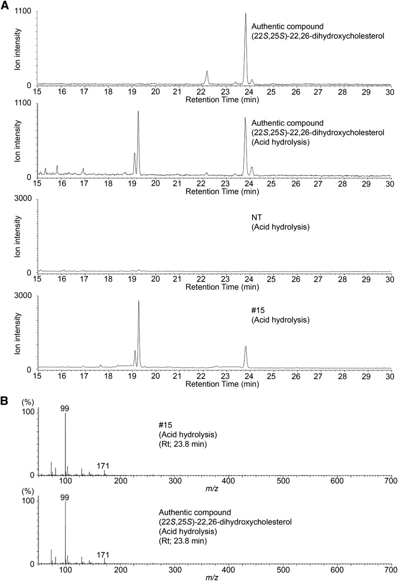 Figure 7.