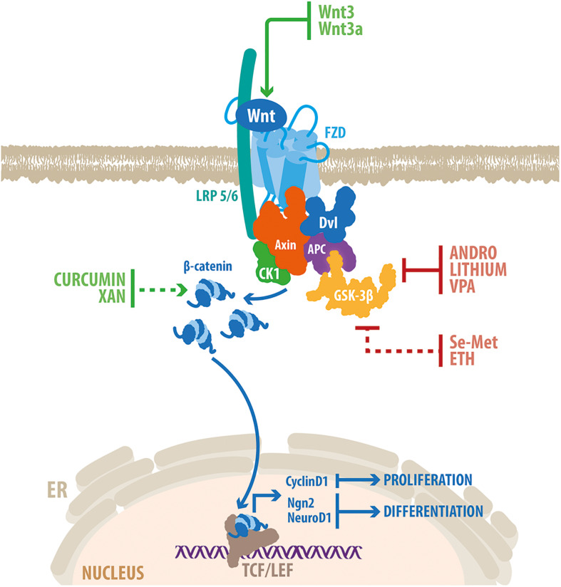 FIGURE 3