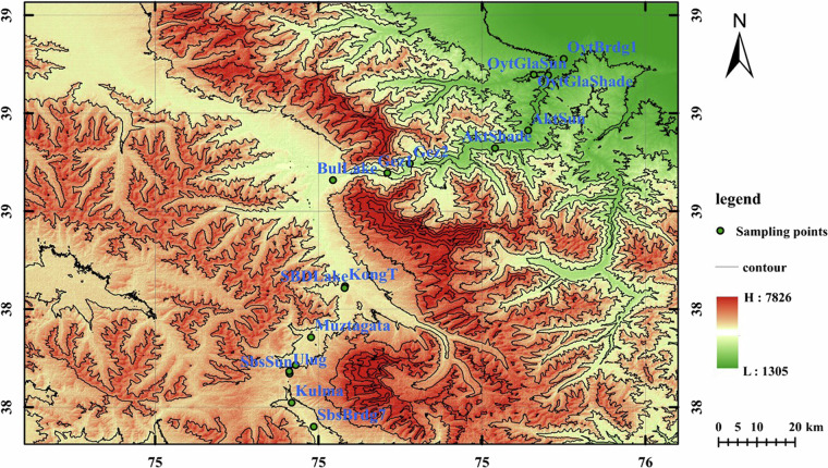 Fig. 1