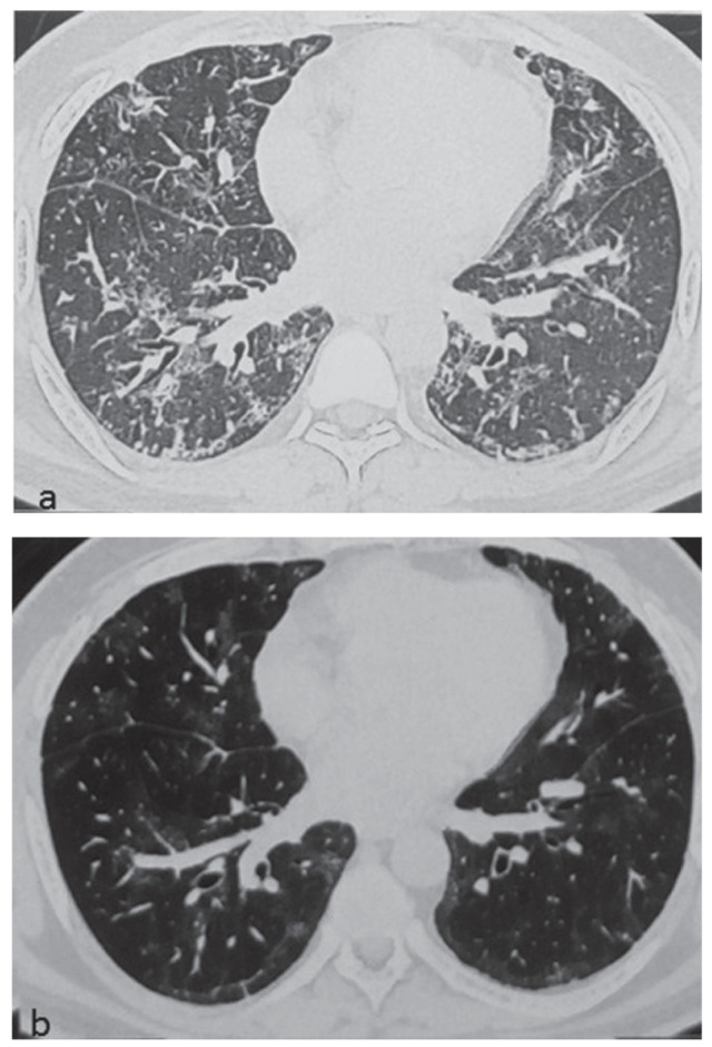 Fig. 1.