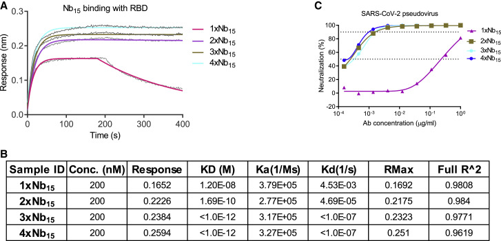 Figure 2