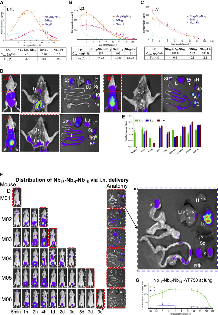 Figure 4