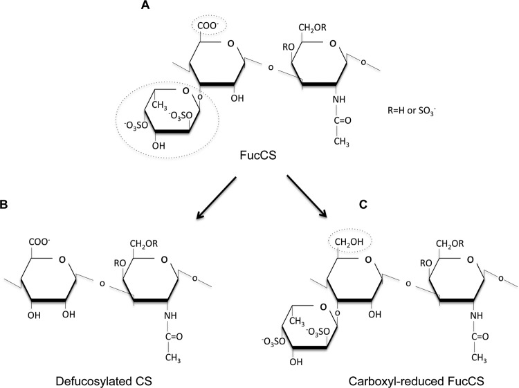 FIG 1