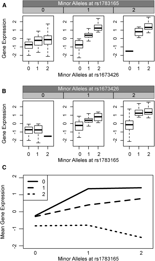 Figure 2