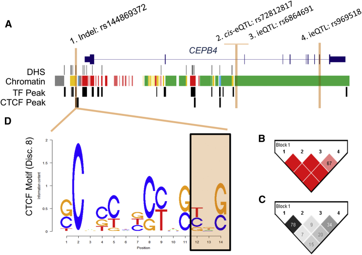 Figure 3