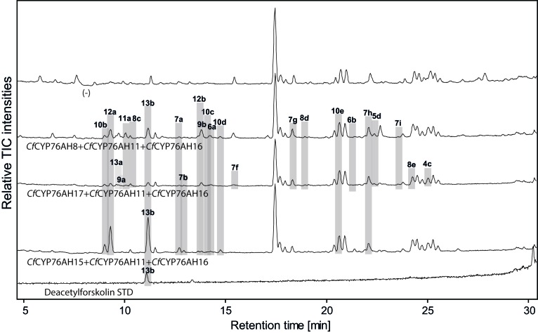 Figure 5.