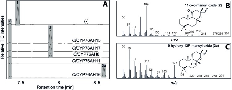 Figure 3.