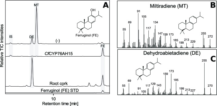 Figure 6.