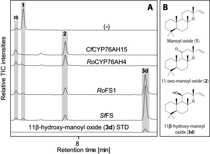 Figure 7.