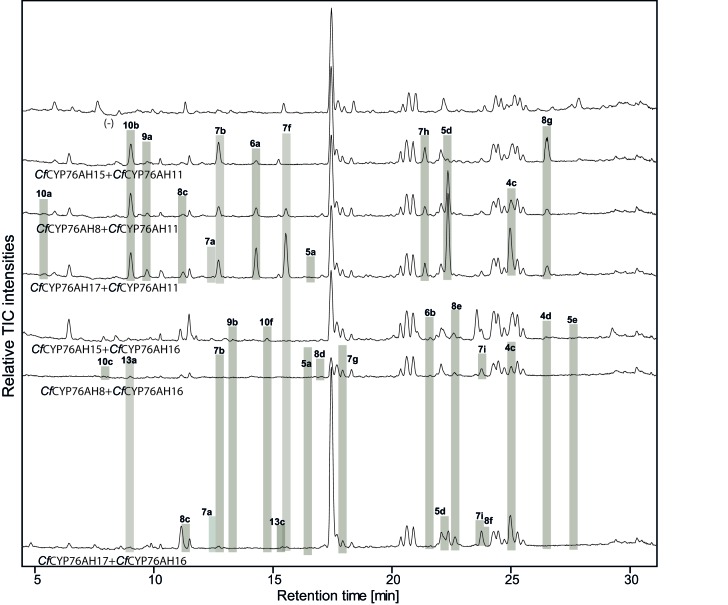 Figure 5—figure supplement 1.