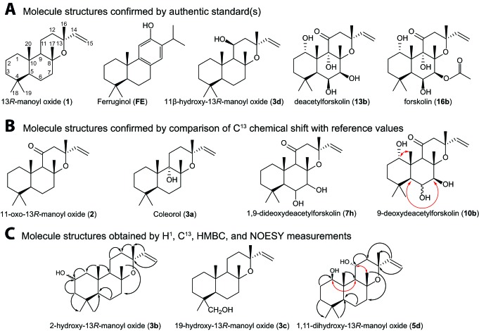 Figure 4.