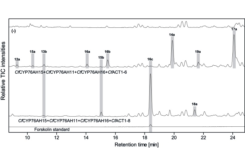 Figure 9.