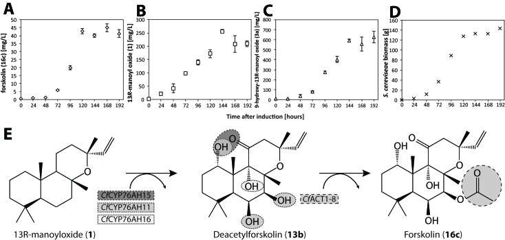 Figure 10.