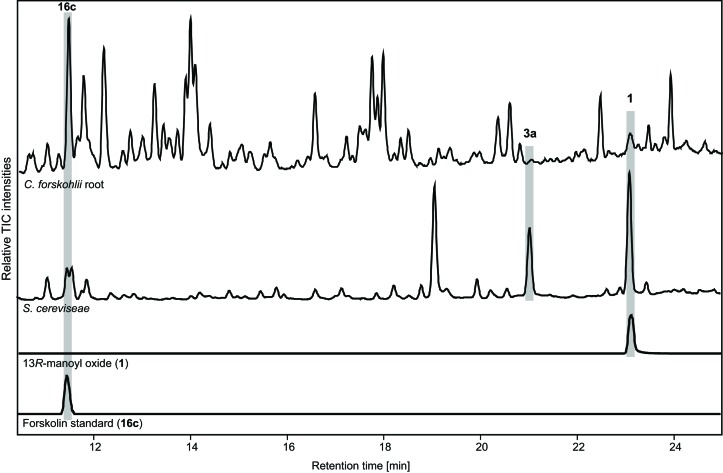 Figure 10—figure supplement 1.