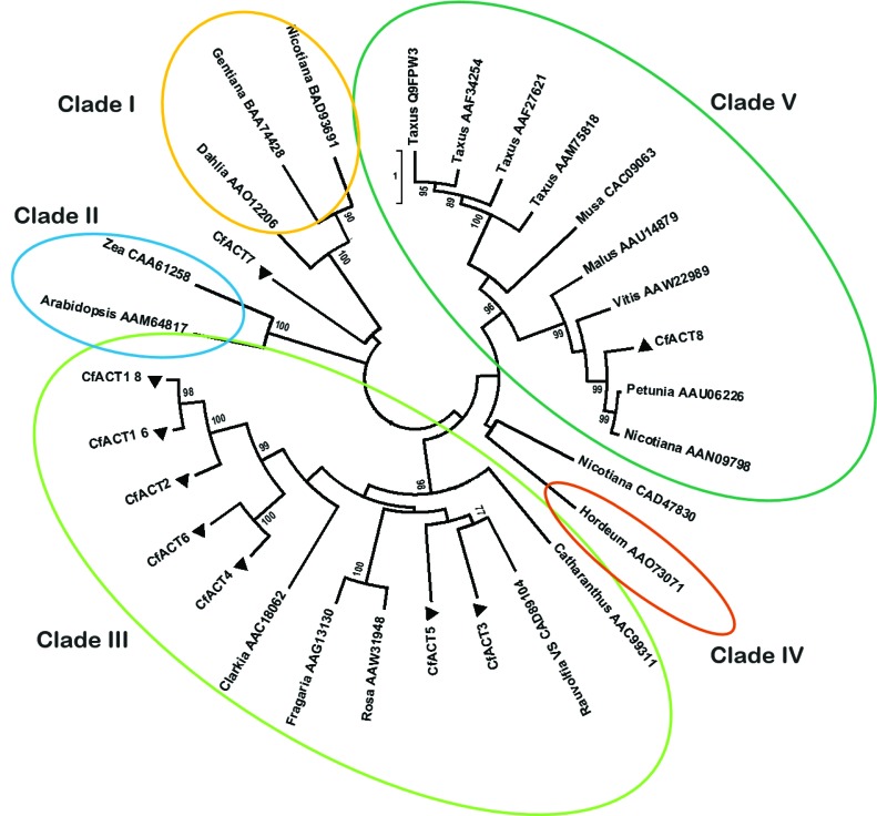 Figure 12.