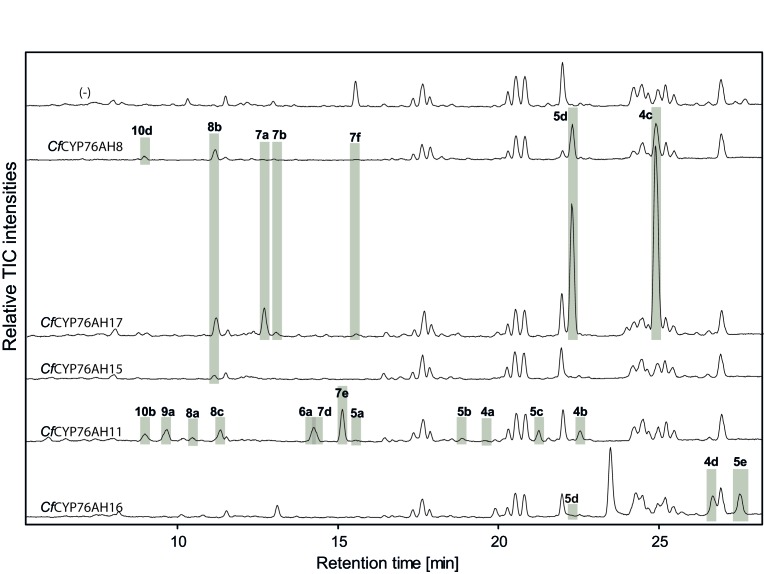 Figure 3—figure supplement 1.