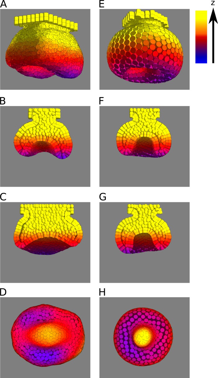 Fig 8