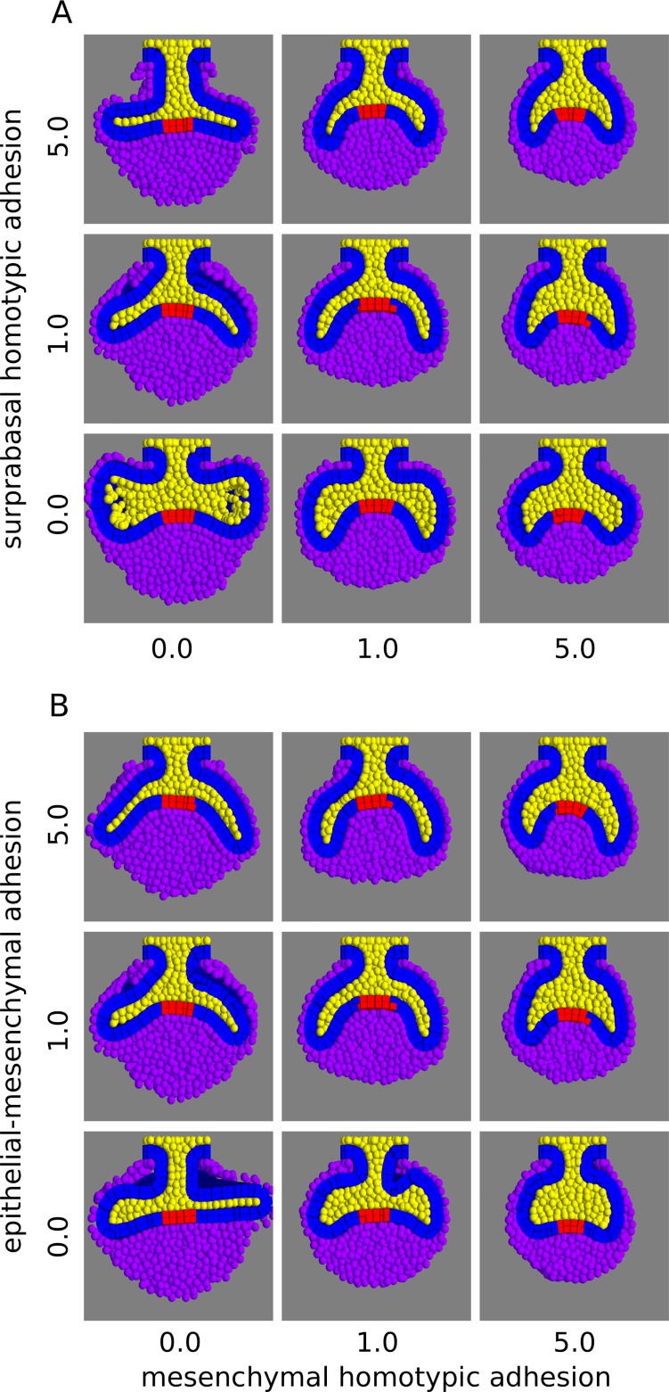 Fig 6