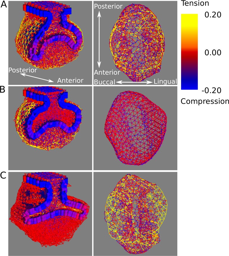 Fig 7