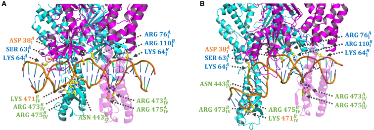 Figure 7